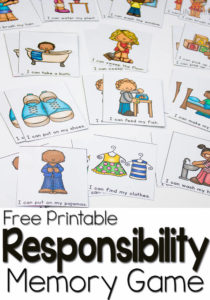 responsibility-pin2