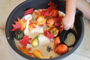 fal sensory bin