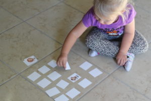 Playing an animal match game